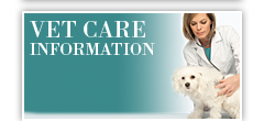 Vet care information