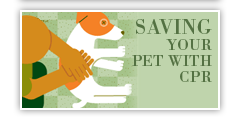 Saving your pet with CPR